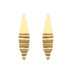 Long Oval Gold Earrings