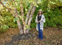 Daphne Duster -Women Fashion bpQ11rtB